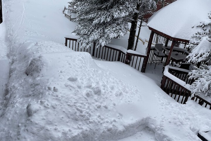 Snowed Inn