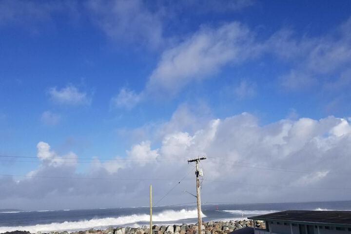Islander Westport