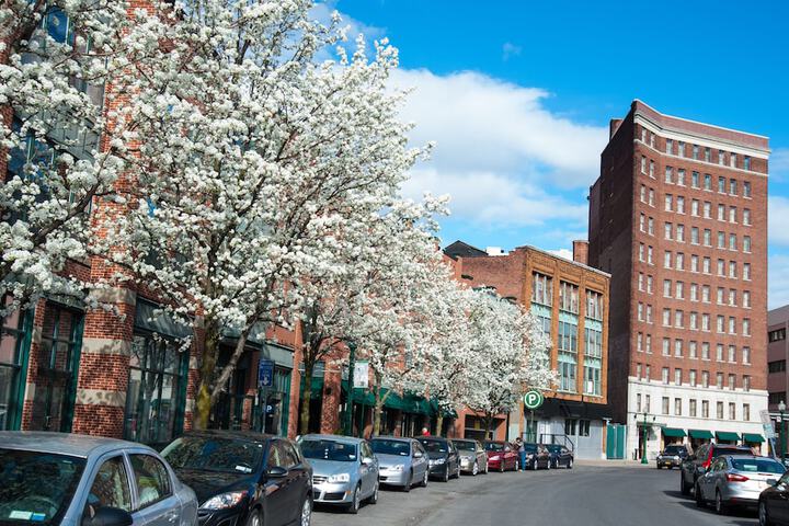 Best Western Syracuse Downtown Hotel and Suites