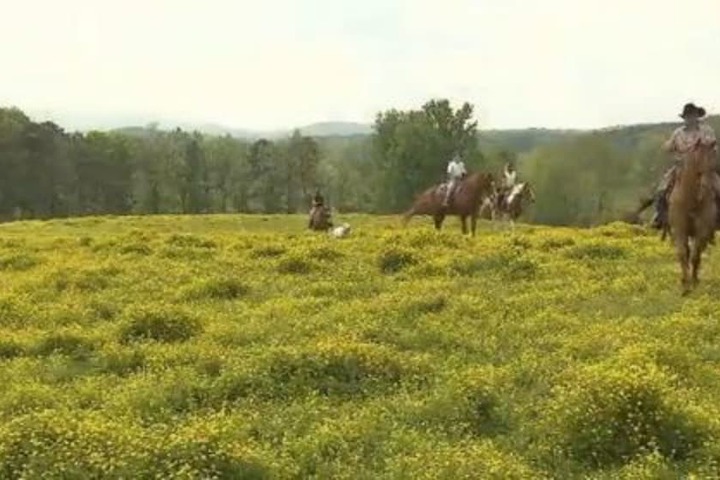 Seventy-four Ranch