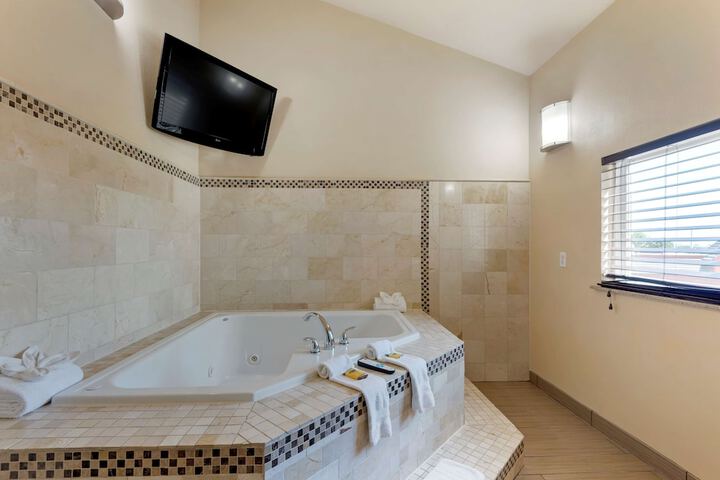 Best Western Plus Arlington North Hotel & Suites