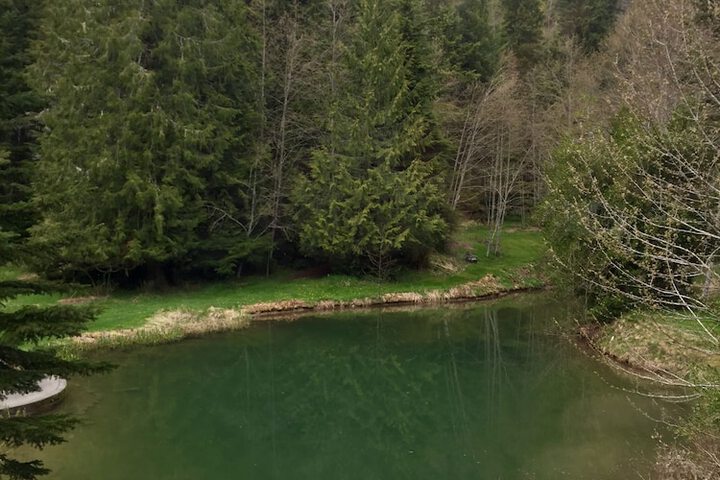 Alexanders Lodge