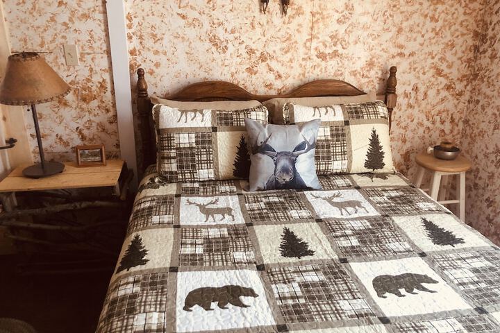 Wrangell Mountain Lodge