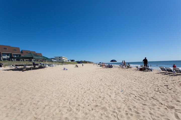 The Surf Club