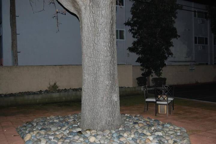 Terrace/Patio 18 of 24