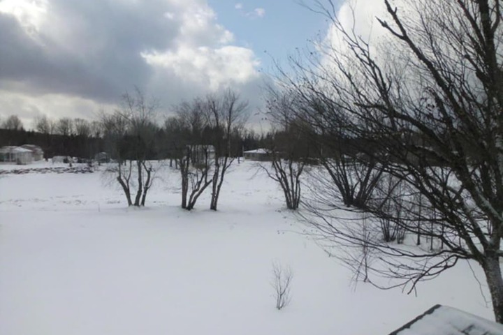 Property Grounds 35 of 37