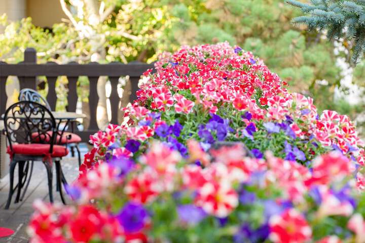 Bavarian Inn Black Hills