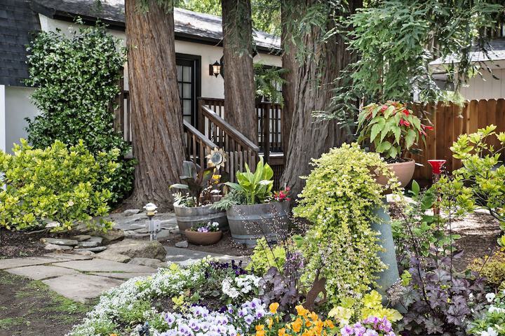 Terrace/Patio 62 of 69