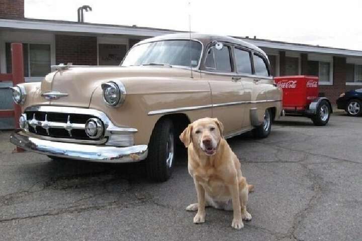 Pet Friendly 38 of 38