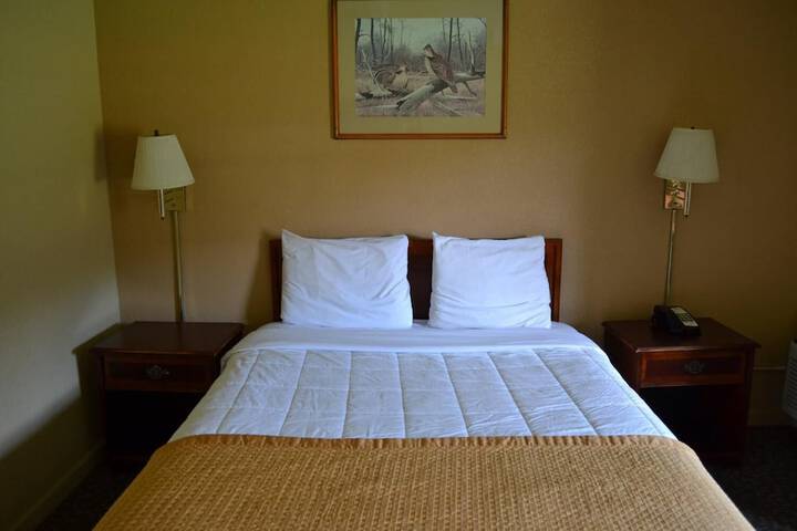 Room 19 of 37