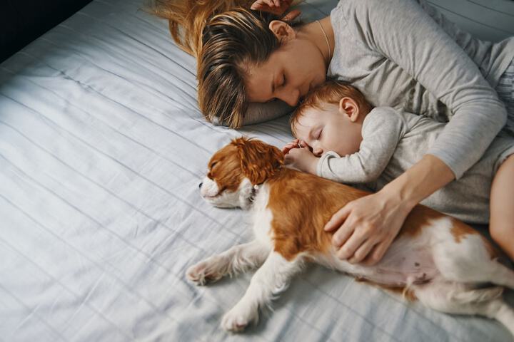 Pet Friendly 29 of 30