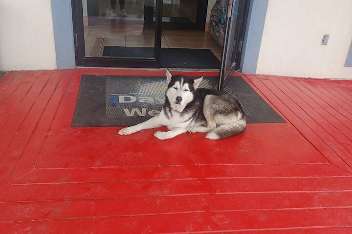 Pet Friendly 15 of 16