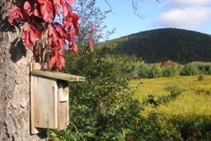 Mountain Horse Farm