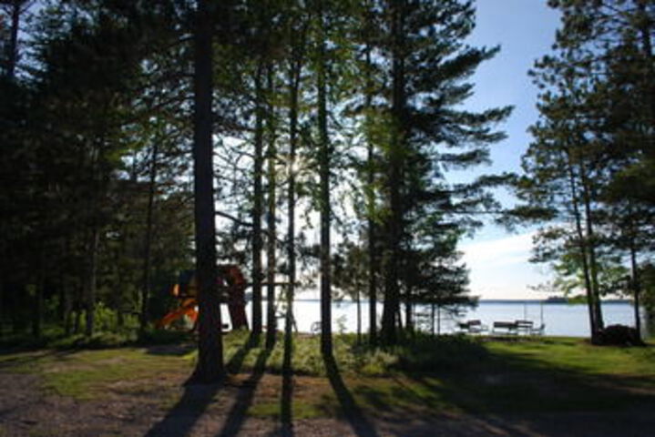 Birch Forest Lodge