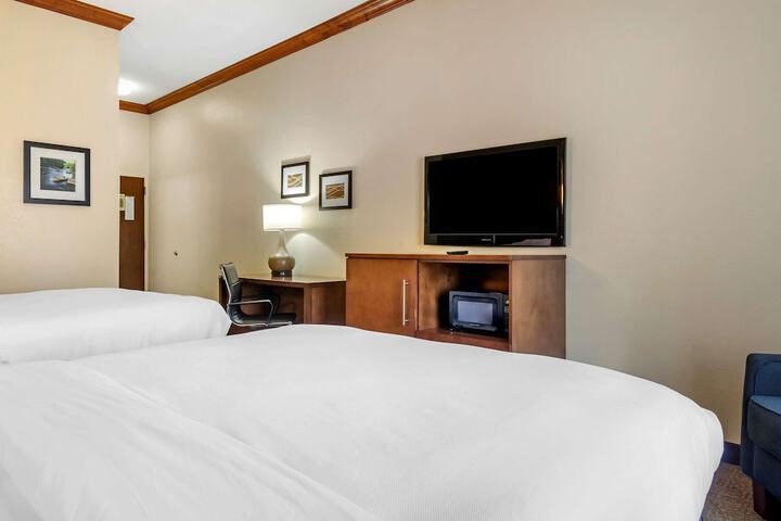 Comfort Inn & Suites Statesboro - University Area