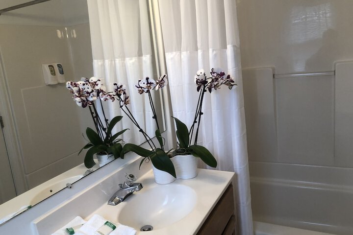Room 16 of 54