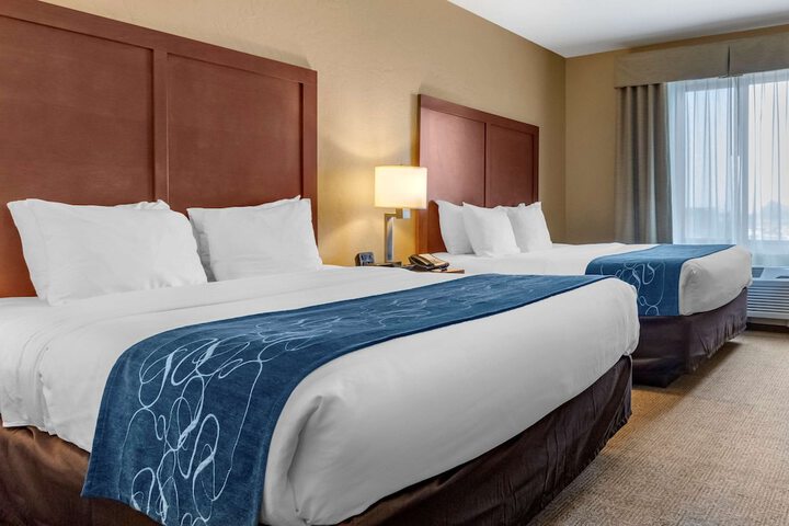 Comfort Suites Airport - University