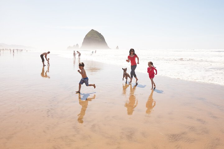 Surfsand Resort