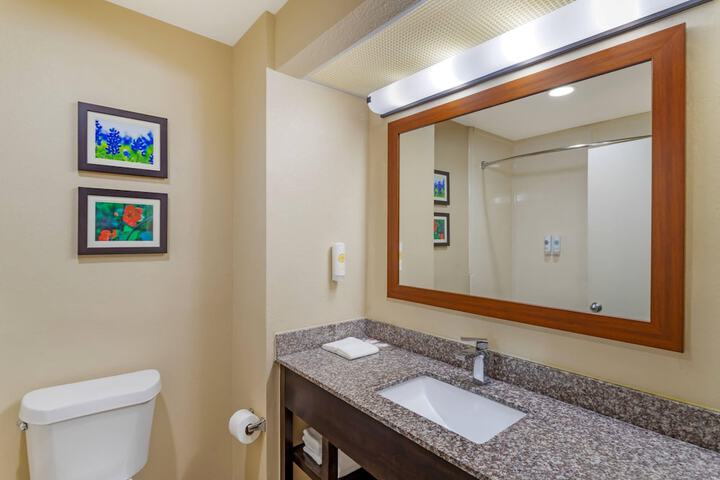 Comfort Suites Deer Park Pasadena