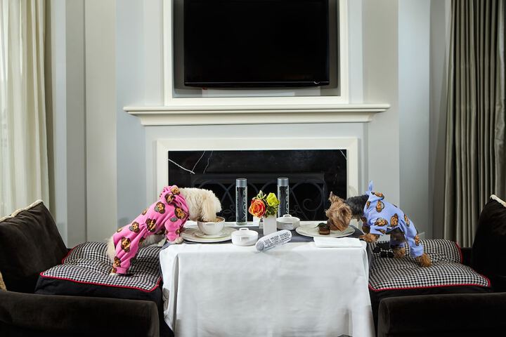 Pet Friendly 204 of 213