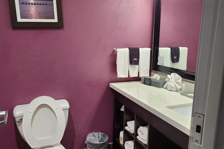 La Quinta Inn & Suites by Wyndham Dallas Grand Prairie North