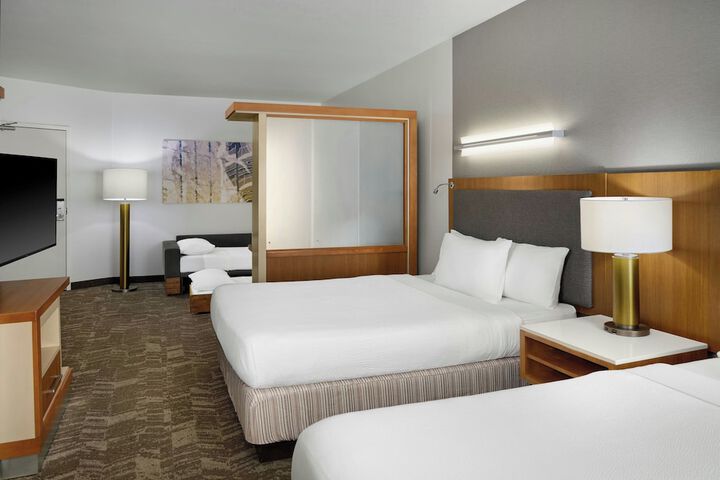 SpringHill Suites by Marriott Detroit Metro Airport Romulus
