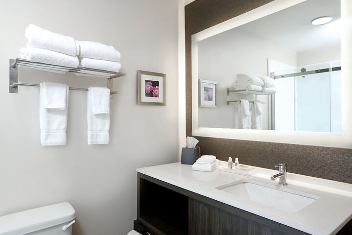 Holiday Inn & Suites Sioux Falls - Airport by IHG