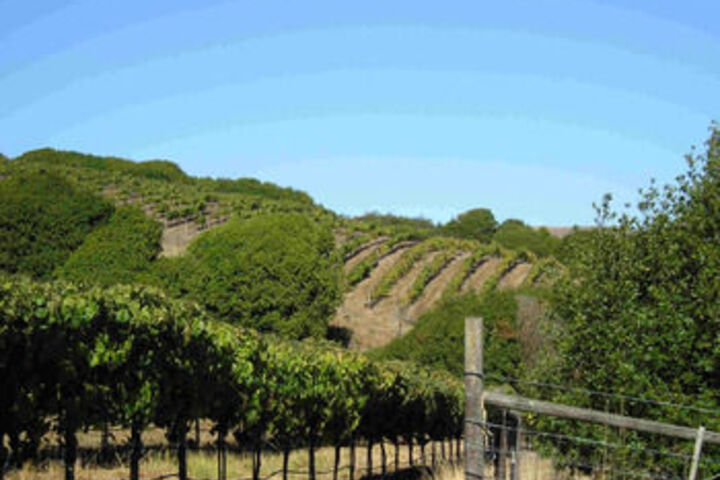 Point Reyes Vineyard Inn