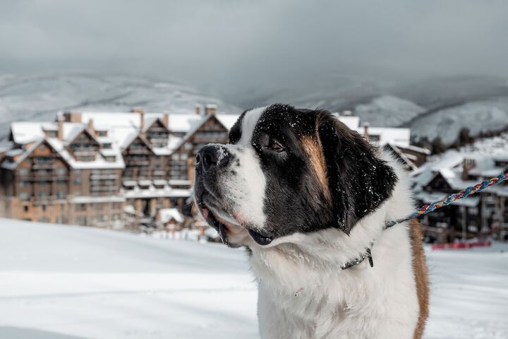 The Ritz-Carlton Bachelor Gulch