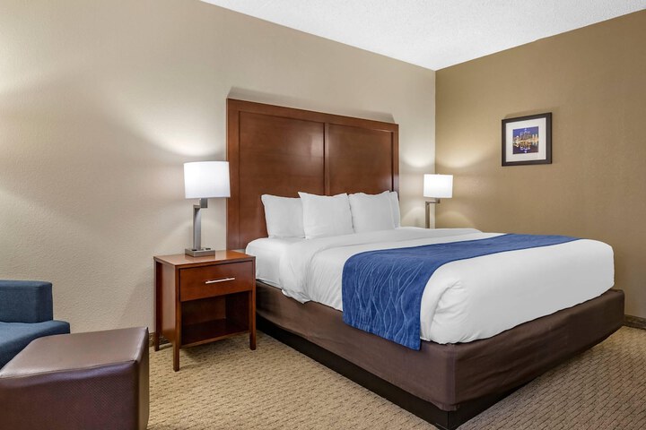 Comfort Inn Near Greenfield Village