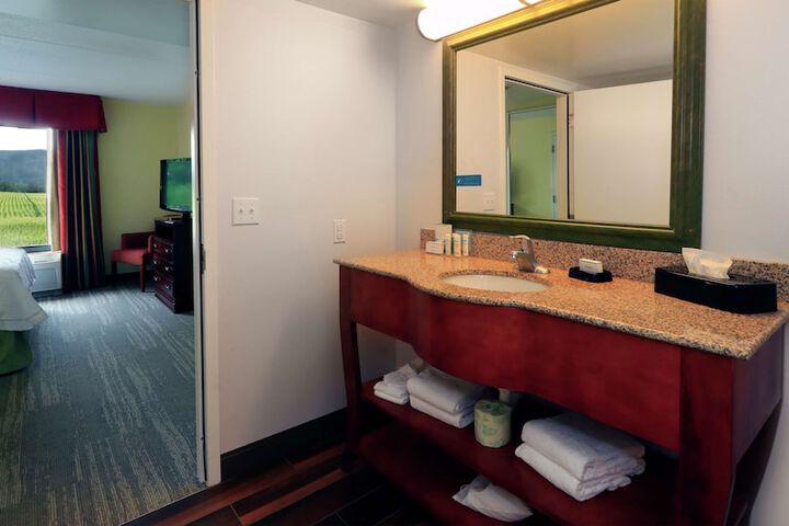 Hampton Inn & Suites Lamar