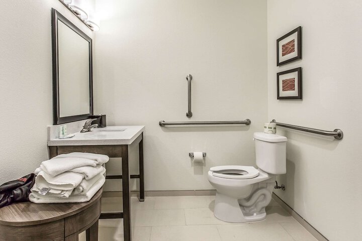 Comfort Inn & Suites Snyder