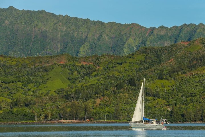 Hanalei Beachfront 2 Bedroom Home by RedAwning