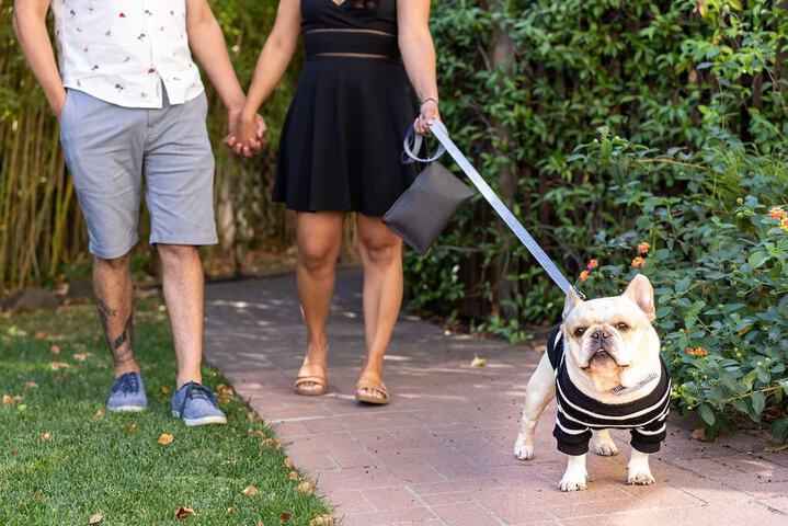 Pet Friendly 50 of 52