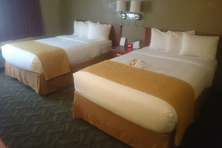 Room 12 of 37