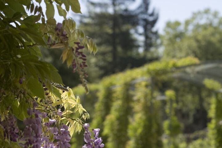 Hyatt Regency Sonoma Wine Country