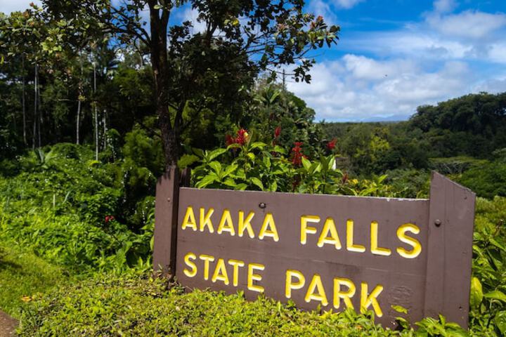 Grand Naniloa Hotel Hilo - a Doubletree by Hilton