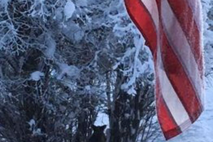 Fairbanks Moose Manor B & B
