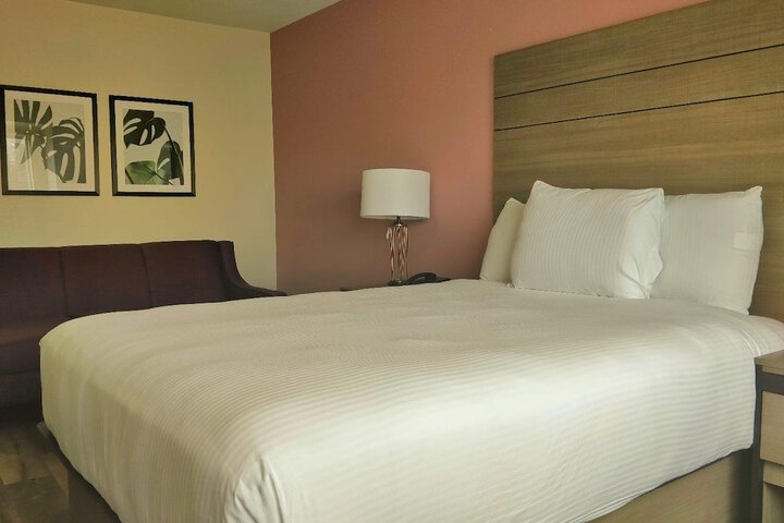 Room 15 of 25