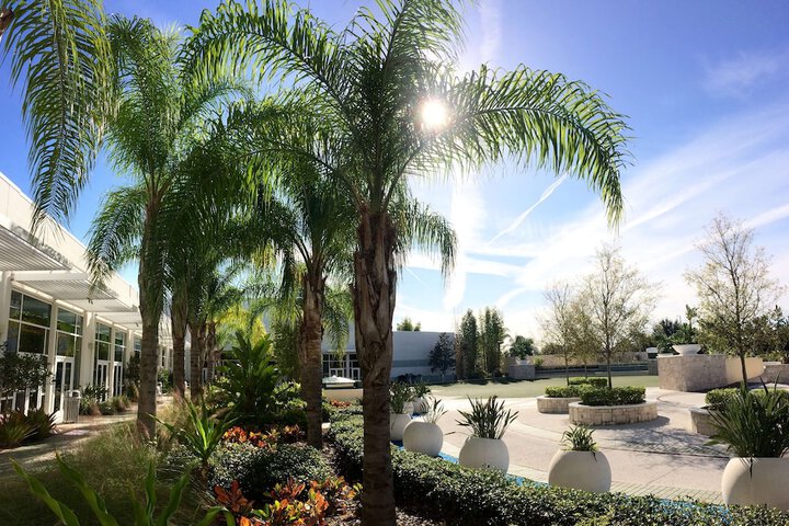 Hilton Orlando