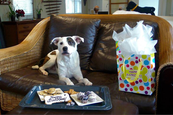 Pet Friendly 131 of 137