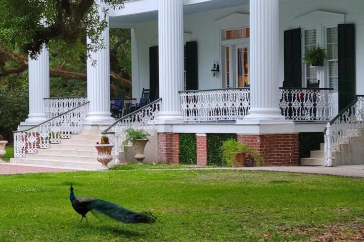 Fairfax Bed and Breakfast
