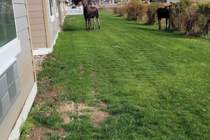 Quality Inn & Suites Pinedale