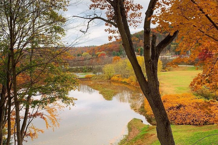 Moonriver Inn