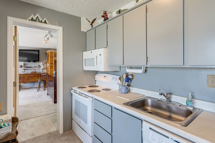 Picturesque Mt. Spokane Condo Near Skiing & Biking!