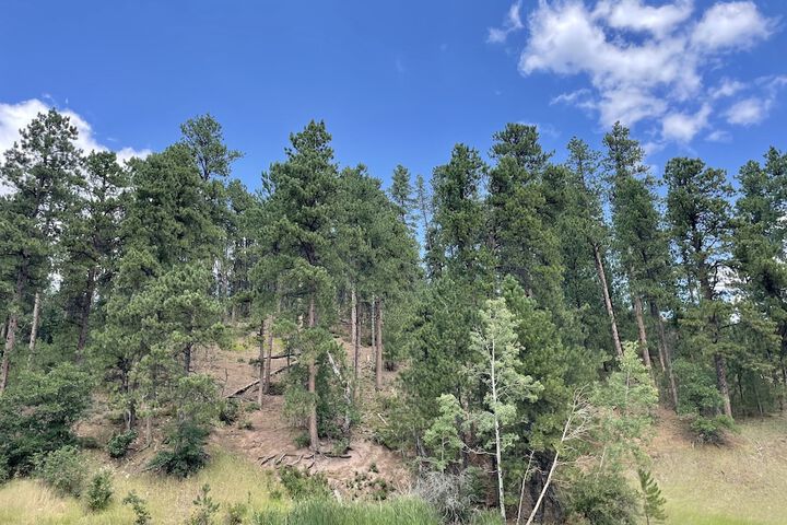 Whitetail Creek Resort