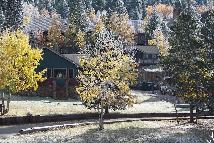 Dao House