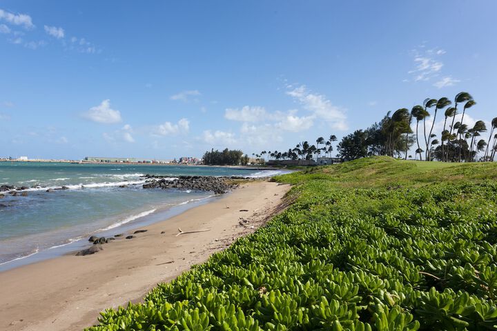 Maui Beach Hotel