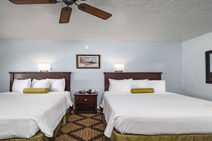 Room 25 of 29