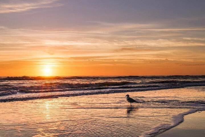 Holiday Inn Resort South Padre Island - Beach Front by IHG